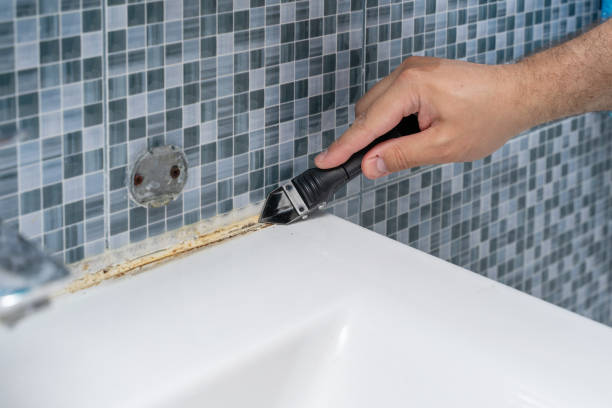 Best Emergency Mold Remediation in Ogallala, NE